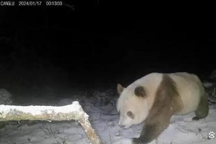 雷竞技串单场